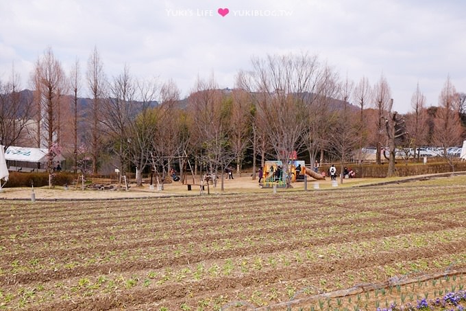 大阪旅遊【富田林市農業公園Savor Farm】採草莓.看花海.燒烤BBQ的親子行程 - yuki.tw