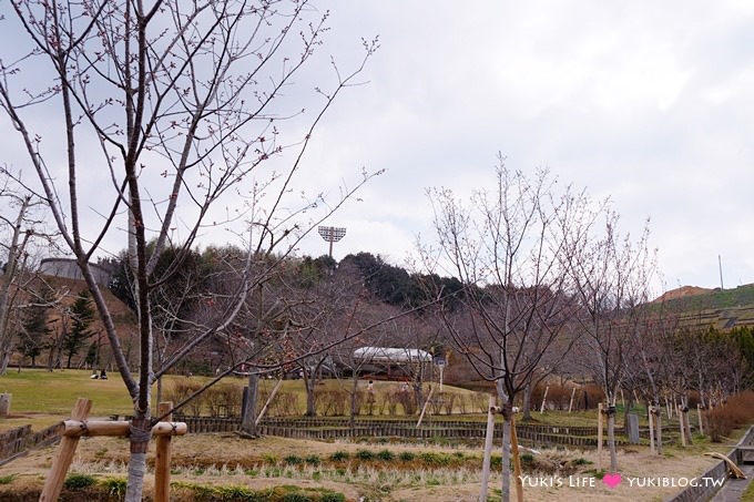 大阪旅遊【富田林市農業公園Savor Farm】採草莓.看花海.燒烤BBQ的親子行程 - yuki.tw