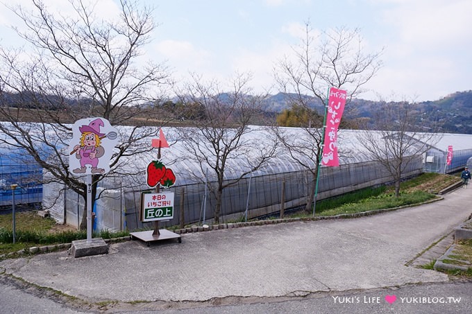 大阪旅遊【富田林市農業公園Savor Farm】採草莓.看花海.燒烤BBQ的親子行程 - yuki.tw