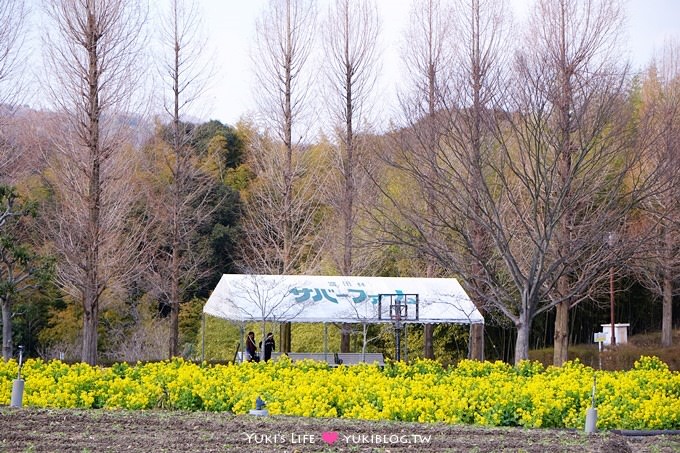 大阪旅遊【富田林市農業公園Savor Farm】採草莓.看花海.燒烤BBQ的親子行程 - yuki.tw