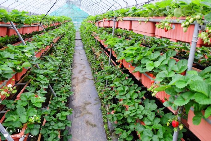 台北親子景點【內湖草莓園49號】草莓果醬雞蛋仔DIY×免淋雨採草莓～假日約會好去處！ - yuki.tw