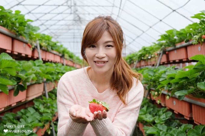 台北親子景點【內湖草莓園49號】草莓果醬雞蛋仔DIY×免淋雨採草莓～假日約會好去處！ - yuki.tw