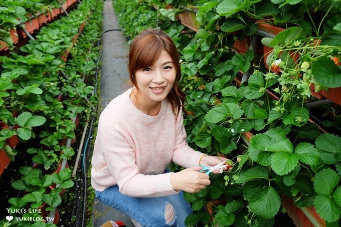 台北親子景點【內湖草莓園49號】草莓果醬雞蛋仔DIY×免淋雨採草莓～假日約會好去處！ - yuki.tw