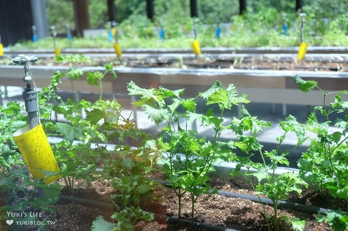 宜蘭室內親子景點【安永心食館】科技互動×海洋奇幻秀×微型工廠DIY×食品觀光工廠(雨天景點) - yuki.tw