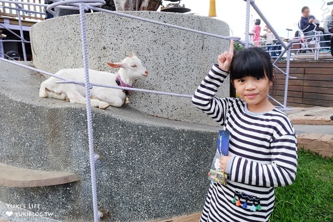 南投景點【星月天空景觀餐廳】親子一日遊~草泥馬×U型溜滑梯×小動物×假日鸚鵡秀～全家好去處！ - yuki.tw