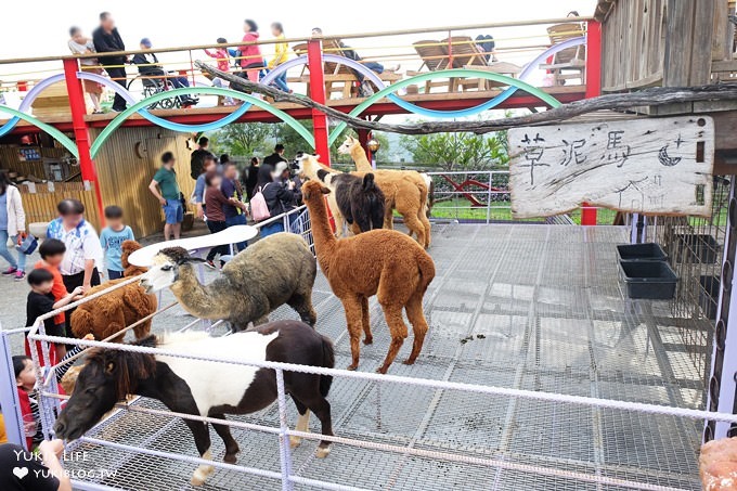 南投景點【星月天空景觀餐廳】親子一日遊~草泥馬×U型溜滑梯×小動物×假日鸚鵡秀～全家好去處！ - yuki.tw