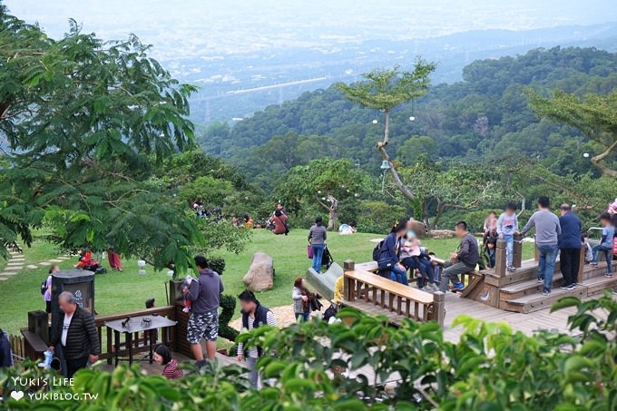 南投親子景點【星月天空夜景景觀餐廳】草泥馬×U型溜滑梯×鸚鵡秀表演 - yuki.tw