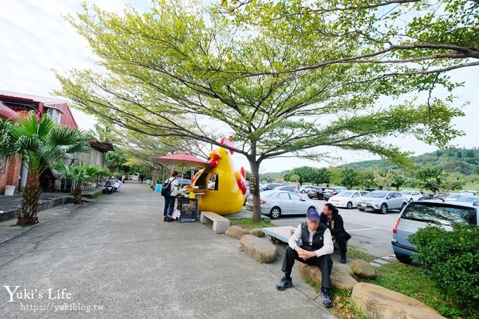 【台灣山豬城】用餐還能逛小型動物園，適合家人來用餐～有停車場、ＣＰ值高 - yuki.tw