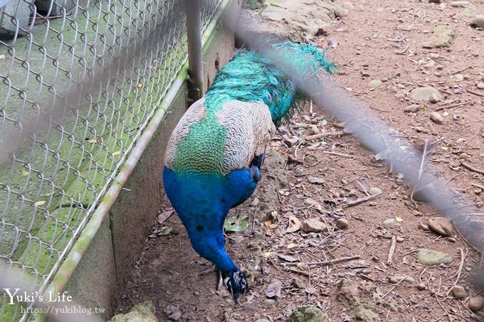 【台灣山豬城】用餐還能逛小型動物園，適合家人來用餐～有停車場、ＣＰ值高 - yuki.tw