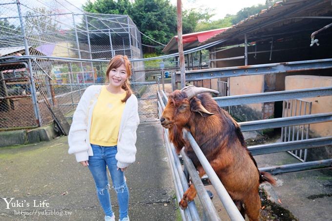 【台灣山豬城】用餐還能逛小型動物園，適合家人來用餐～有停車場、ＣＰ值高 - yuki.tw