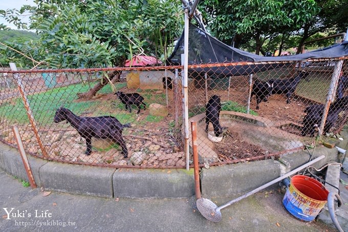 【台灣山豬城】用餐還能逛小型動物園，適合家人來用餐～有停車場、ＣＰ值高 - yuki.tw