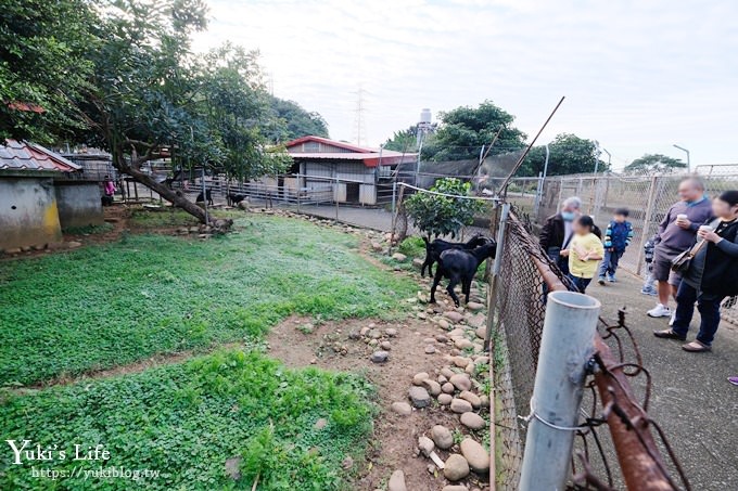 【台灣山豬城】用餐還能逛小型動物園，適合家人來用餐～有停車場、ＣＰ值高 - yuki.tw