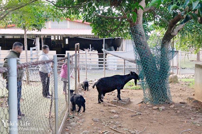 【台灣山豬城】用餐還能逛小型動物園，適合家人來用餐～有停車場、ＣＰ值高 - yuki.tw