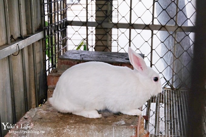 【台灣山豬城】用餐還能逛小型動物園，適合家人來用餐～有停車場、ＣＰ值高 - yuki.tw