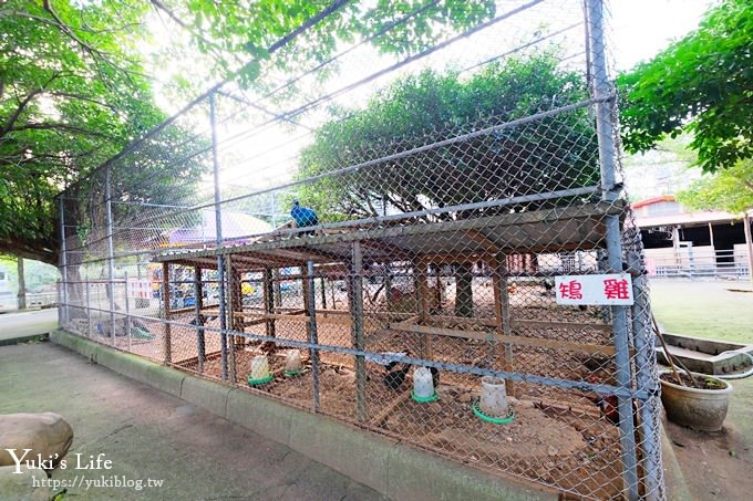 【台灣山豬城】用餐還能逛小型動物園，適合家人來用餐～有停車場、ＣＰ值高 - yuki.tw