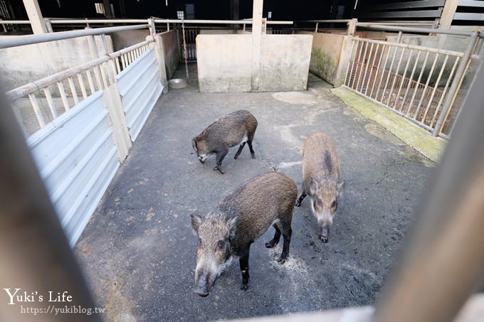 【台灣山豬城】用餐還能逛小型動物園，適合家人來用餐～有停車場、ＣＰ值高 - yuki.tw