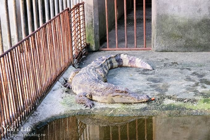 【台灣山豬城】用餐還能逛小型動物園，適合家人來用餐～有停車場、ＣＰ值高 - yuki.tw