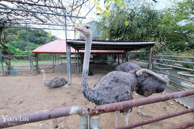 【台灣山豬城】用餐還能逛小型動物園，適合家人來用餐～有停車場、ＣＰ值高 - yuki.tw