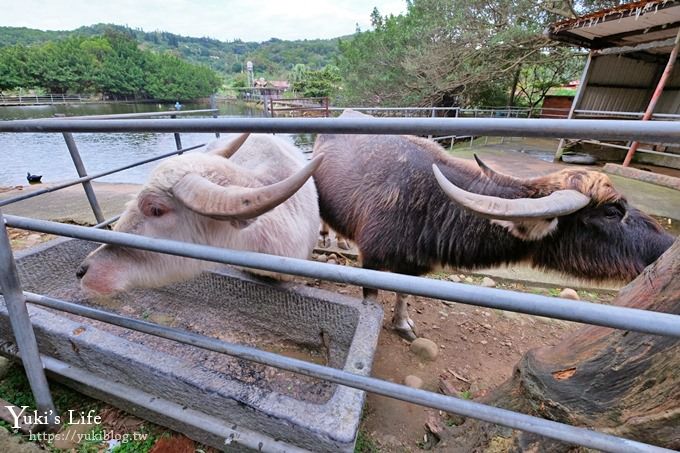 【台灣山豬城】用餐還能逛小型動物園，適合家人來用餐～有停車場、ＣＰ值高 - yuki.tw