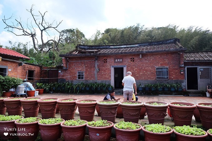 新北免費玩沙好去處【三芝遊客中心及名人文物館】大草皮親子景點×互動體驗展覽館及戶外庭院空間好逛也好玩 - yuki.tw