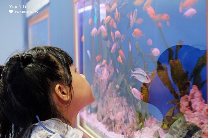 基隆一日遊親子景點【國立海洋科技博物館】海洋互動樂園(熱門兒童館要先行拿票／探索館免門票) - yuki.tw