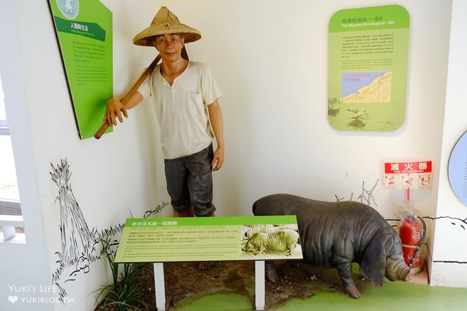 桃園中壢免費親子景點【老街溪河川教育中心/新勢公園】時光隧道溜滑梯×生態教育館×踏青野餐好去處 - yuki.tw