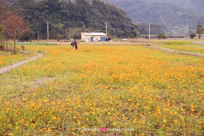 宜蘭三星旅遊【黃色大木馬(搖搖洛克馬)】巨型童趣木馬&花田盛開 - yuki.tw