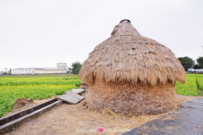 宜蘭三星旅遊【黃色大木馬(搖搖洛克馬)】巨型童趣木馬&花田盛開 - yuki.tw