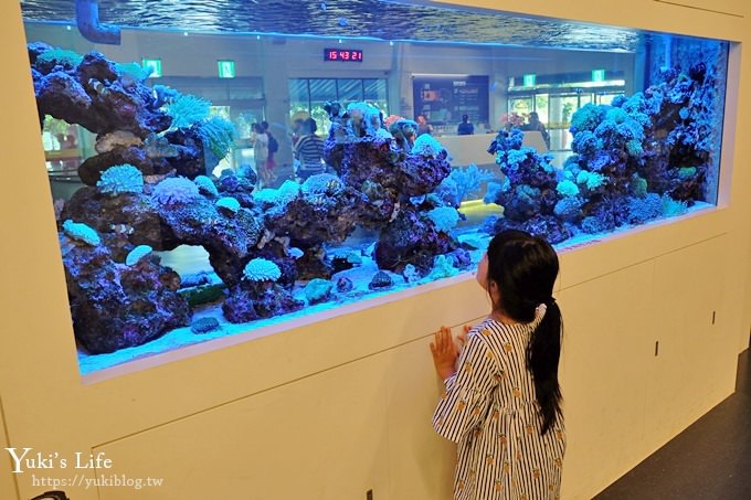 屏東景點【台電南部展示館】全新免費親子景點！兩層樓旅轉溜滑梯、超多互動設施、4D立體劇場、墾丁必訪室內景點～ - yuki.tw