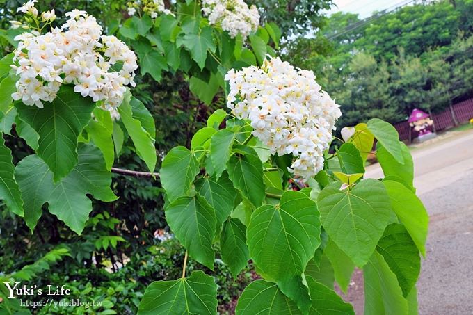 苗栗景點【花露休閒農場】四季都美的魚池景觀下午茶×精油館新開幕、親子景點、景觀餐廳、網美景點 - yuki.tw