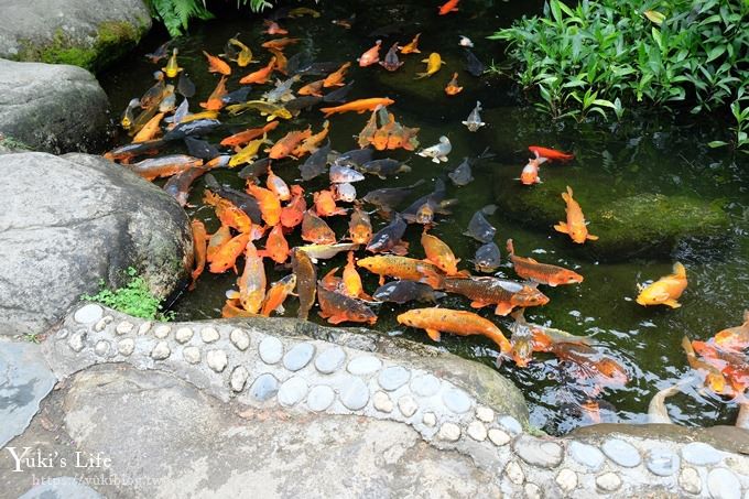 苗栗景點【花露休閒農場】四季都美的魚池景觀下午茶×精油館新開幕、親子景點、景觀餐廳、網美景點 - yuki.tw