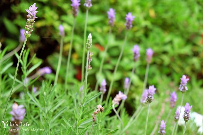 苗栗景點【花露休閒農場】四季都美的魚池景觀下午茶×精油館新開幕、親子景點、景觀餐廳、網美景點 - yuki.tw