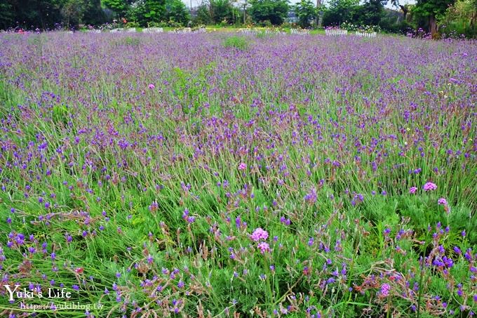 苗栗景點【花露休閒農場】四季都美的魚池景觀下午茶×精油館新開幕、親子景點、景觀餐廳、網美景點 - yuki.tw