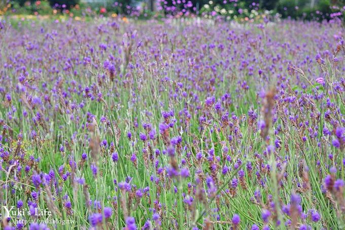 苗栗景點【花露休閒農場】四季都美的魚池景觀下午茶×精油館新開幕、親子景點、景觀餐廳、網美景點 - yuki.tw