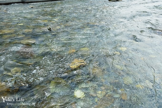 宜蘭景點【武荖坑風景區】烤肉玩水野餐景點推薦、全家出遊好去處！超值好玩宜蘭一日遊！ - yuki.tw