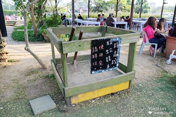 桃園觀音親子景點【青林農場】向日葵、麥桿菊×兒童草皮遊戲區(小火車、超跑、餵兔子) - yuki.tw