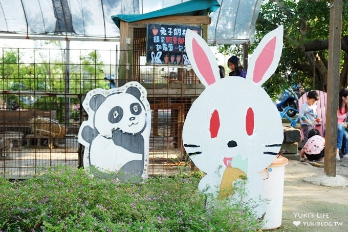 桃園觀音親子景點【青林農場】向日葵、麥桿菊×兒童草皮遊戲區(小火車、超跑、餵兔子) - yuki.tw