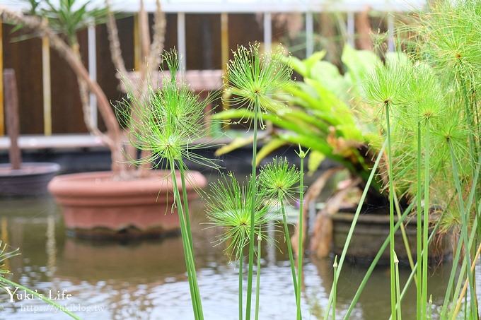 宜蘭景點【礁溪金車蘭花園】免費親子景點！賞花賞魚吃蝦去、下午茶必打卡行程點！ - yuki.tw