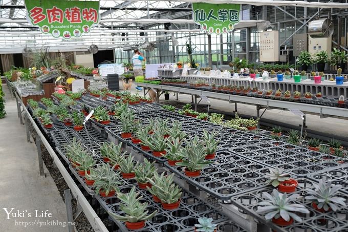 宜蘭景點【礁溪金車蘭花園】免費親子景點！賞花賞魚吃蝦去、下午茶必打卡行程點！ - yuki.tw