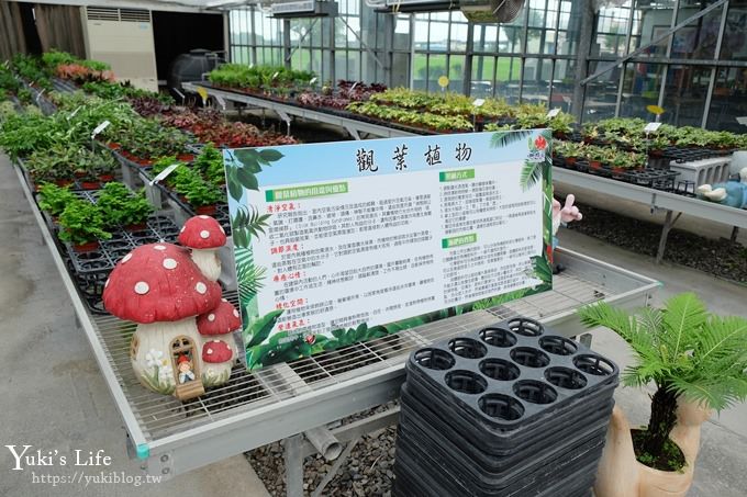 宜蘭景點【礁溪金車蘭花園】免費親子景點！賞花賞魚吃蝦去、下午茶必打卡行程點！ - yuki.tw