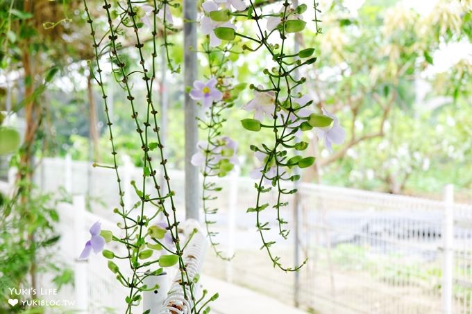 台中景點【赤腳ㄚ生態農莊】超夯大草皮親子景點×玩水小溪×沙坑×小動物~放電一整天! - yuki.tw