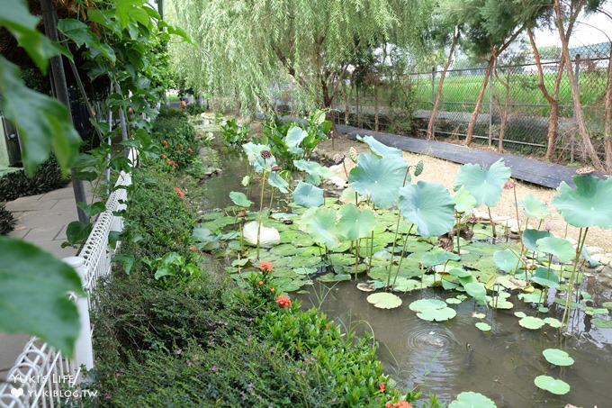 台中景點【赤腳ㄚ生態農莊】超夯大草皮親子景點×玩水小溪×沙坑×小動物~放電一整天! - yuki.tw