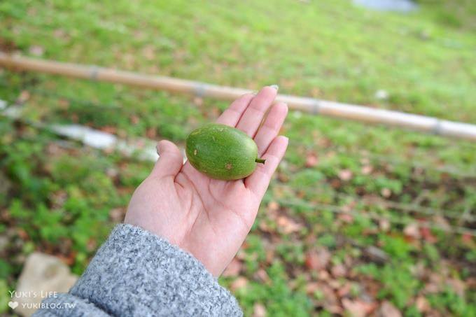 (歇業)新竹北埔免費親子景點【彩紅部落玫瑰園農場】新增室內兒童遊戲室×戶外沙坑大草皮放電好去處! - yuki.tw