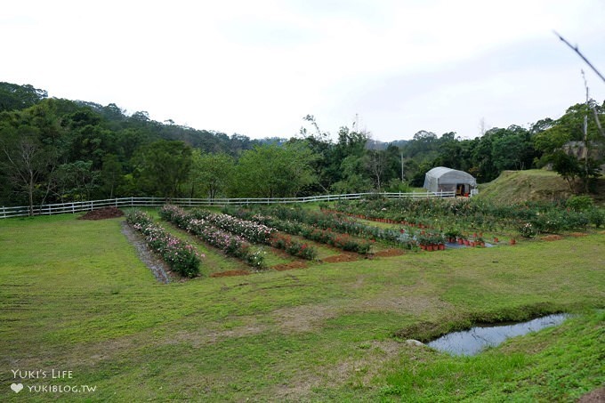 (歇業)新竹北埔免費親子景點【彩紅部落玫瑰園農場】新增室內兒童遊戲室×戶外沙坑大草皮放電好去處! - yuki.tw