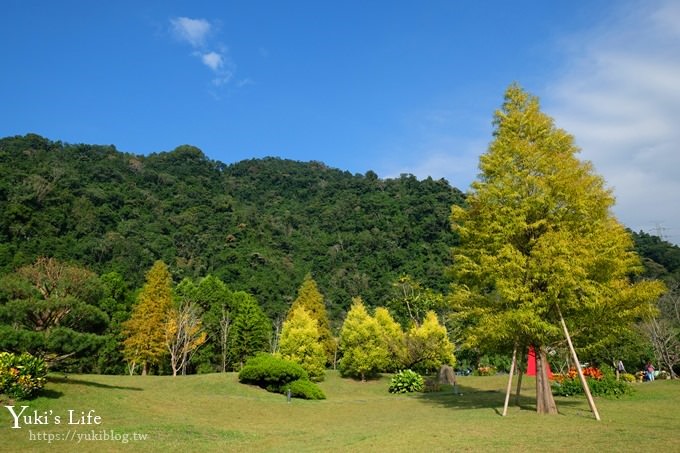 苗栗親子景點【雲水度假森林】落羽松約會好去處×水池花園、泡湯吃美食 - yuki.tw