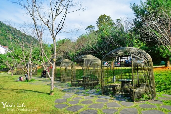 苗栗親子景點【雲水度假森林】落羽松約會好去處×水池花園、泡湯吃美食 - yuki.tw