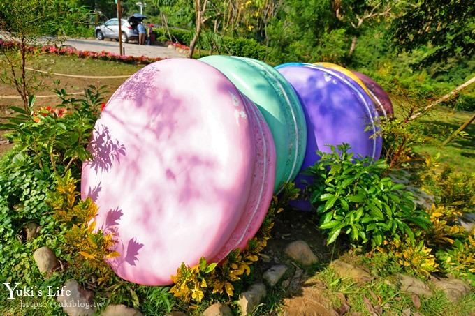 苗栗親子景點【雲水度假森林】落羽松約會好去處×水池花園、泡湯吃美食 - yuki.tw