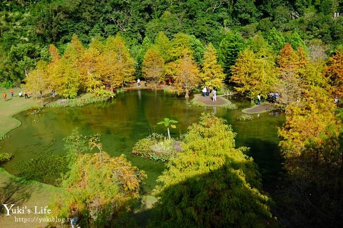 苗栗親子景點【雲水度假森林】落羽松約會好去處×水池花園、泡湯吃美食 - yuki.tw