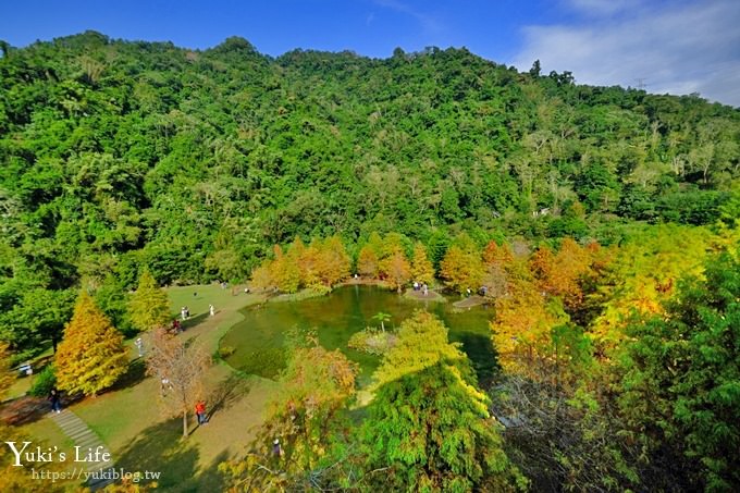 苗栗親子景點【雲水度假森林】落羽松約會好去處×水池花園、泡湯吃美食 - yuki.tw