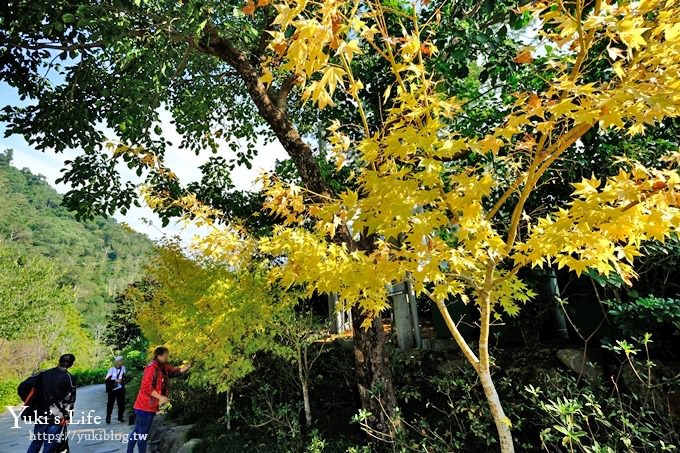 苗栗親子景點【雲水度假森林】落羽松約會好去處×水池花園、泡湯吃美食 - yuki.tw